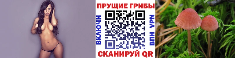 Галлюциногенные грибы прущие грибы  Барыш 