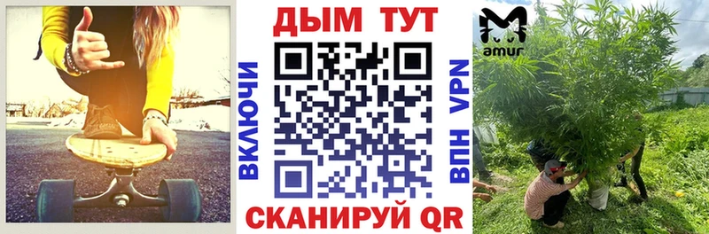 что такое   Барыш  Шишки марихуана планчик 